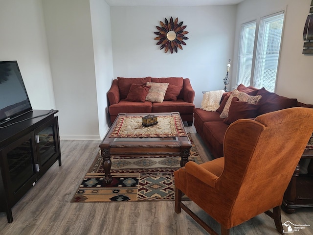 living room with wood-type flooring