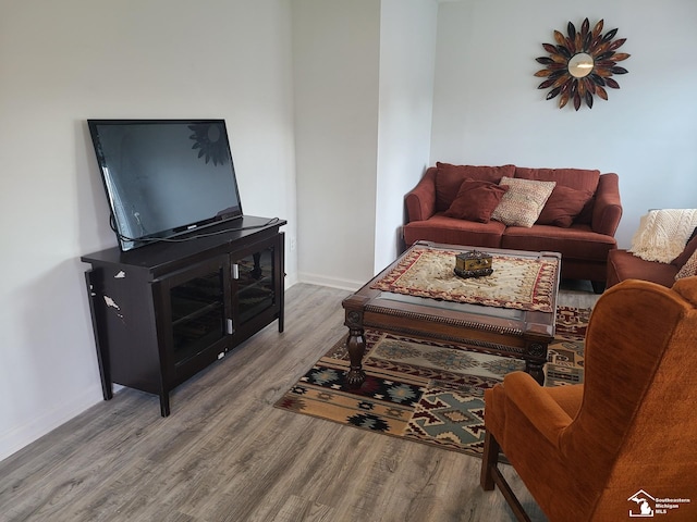 living room with hardwood / wood-style floors