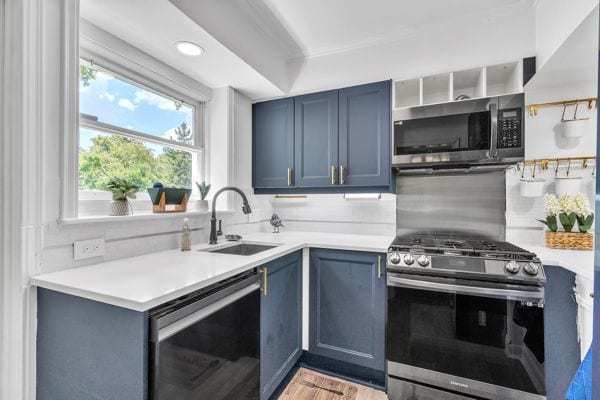 kitchen with light wood-type flooring, backsplash, stainless steel appliances, sink, and blue cabinetry