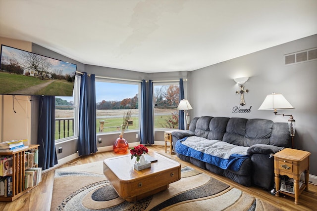 living room with wood-type flooring