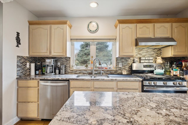 kitchen featuring decorative backsplash, stainless steel appliances, and sink