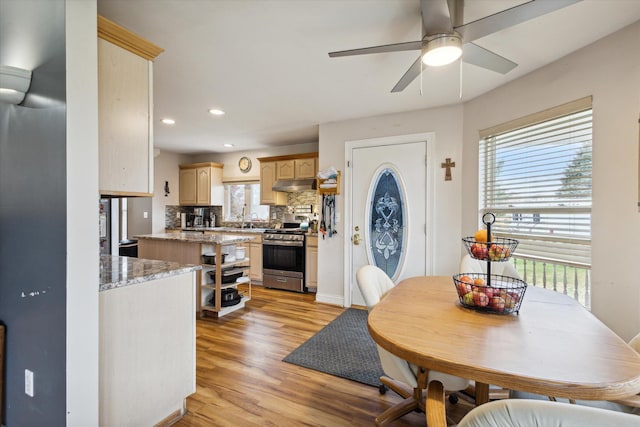 dining area with plenty of natural light, ceiling fan, and light hardwood / wood-style flooring