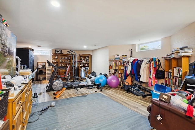 workout area featuring wood-type flooring