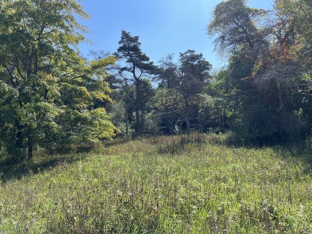 1903 W First St, Scottville, MI 49454 - view of tree filled area