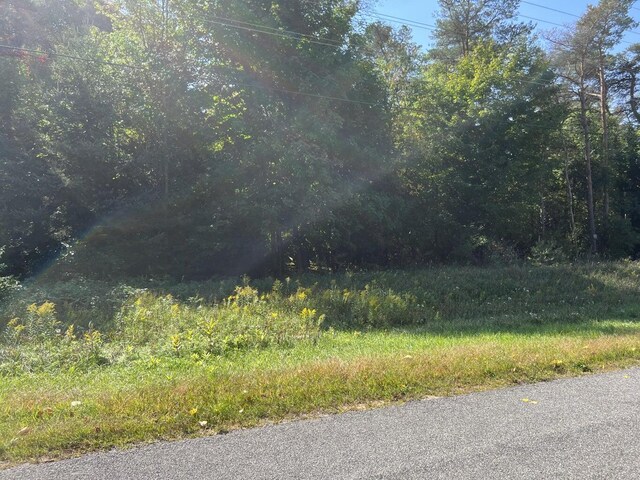 1903 W First St, Scottville, MI 49454 - view of street