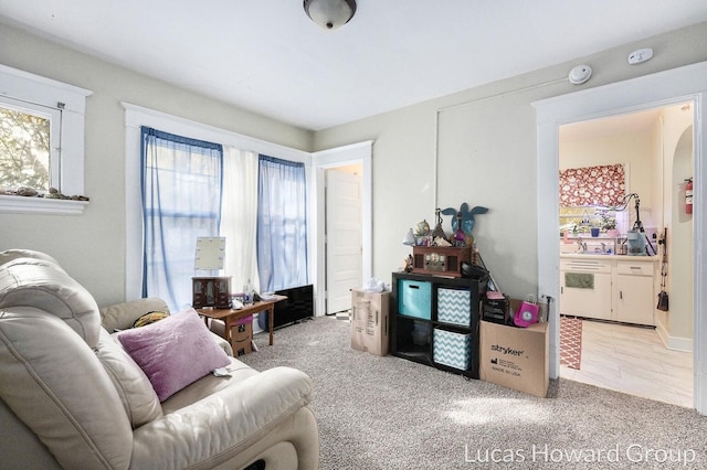 living room featuring light carpet