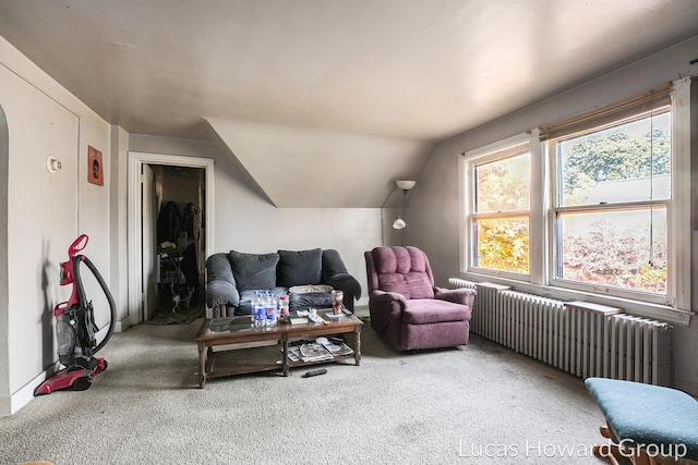 interior space featuring radiator heating unit and vaulted ceiling