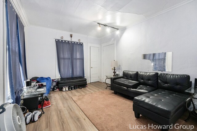 living room featuring crown molding, hardwood / wood-style floors, and rail lighting