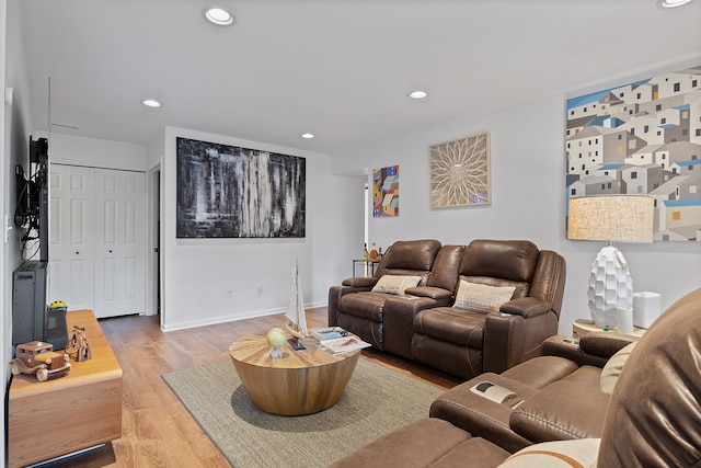 living room with hardwood / wood-style flooring