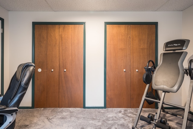 workout room with carpet flooring