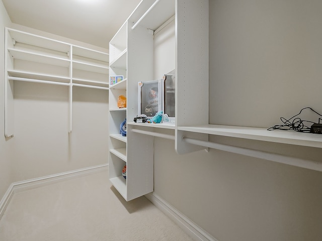 2748 Turtle Lake Dr, Bloomfield Hills, MI 48302 - view of walk in closet