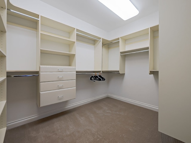 spacious closet with dark colored carpet