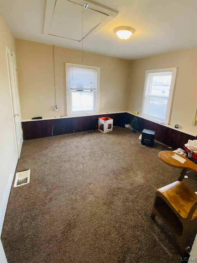 miscellaneous room with wood walls, a healthy amount of sunlight, and carpet floors