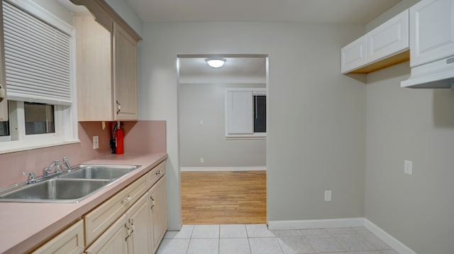 kitchen with light hardwood / wood-style flooring and sink