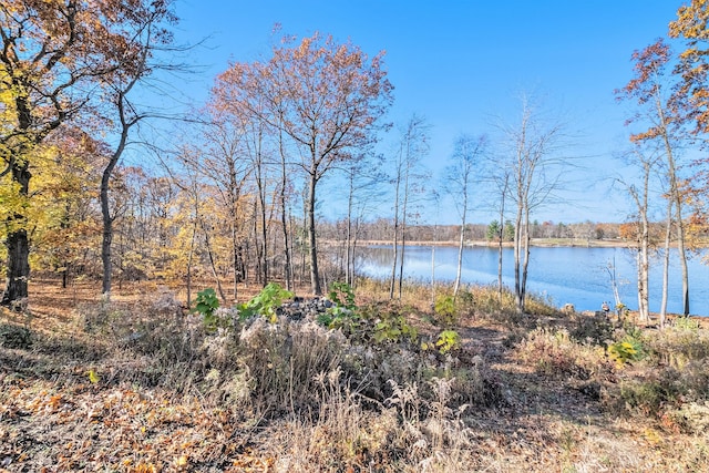 5966 Silverbirch Rd, Ortonville MI, 48462 land for sale