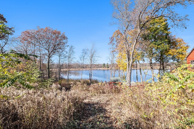 5966 Silverbirch Rd, Ortonville, MI 48462