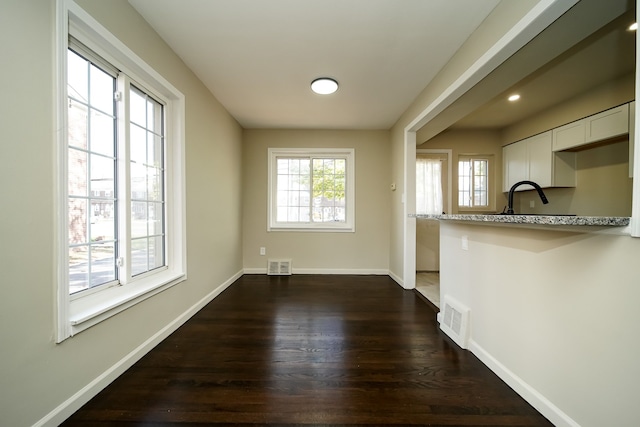 unfurnished dining area with sink and dark wood-type flooring