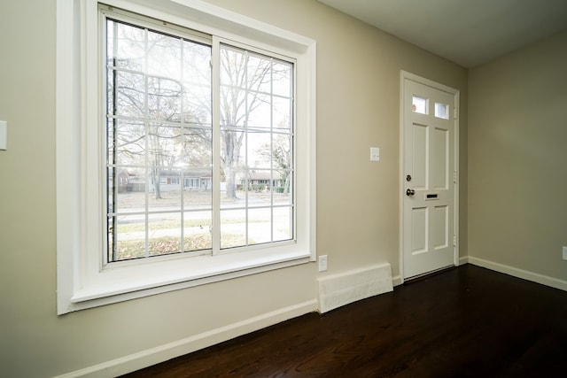 foyer with dark wood-type flooring