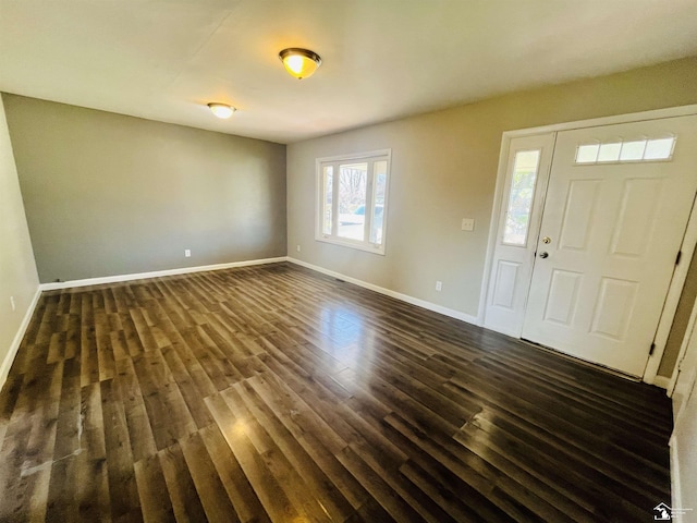 foyer entrance featuring dark wood-type flooring