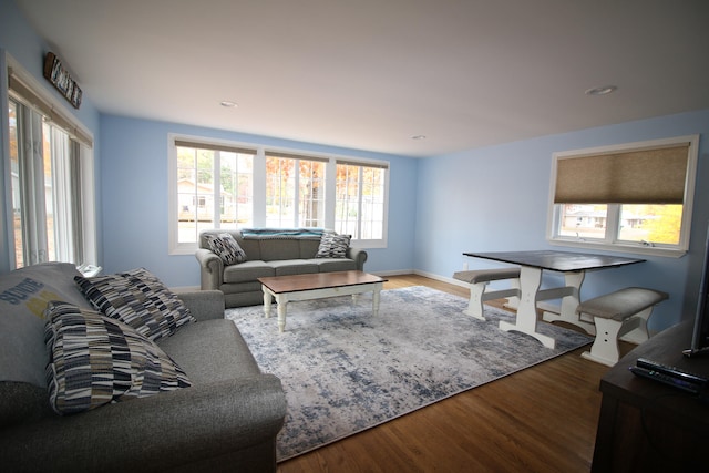living room with hardwood / wood-style flooring and a wealth of natural light