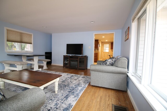 living room featuring wood-type flooring