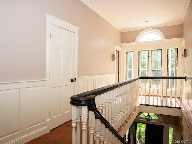 6230 Winkler Mill Rd, Rochester Hills, MI 48306 - corridor with a decorative wall, a wainscoted wall, an upstairs landing, wood finished floors, and crown molding
