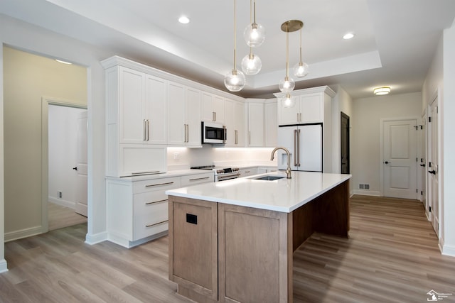 kitchen with white cabinets, sink, an island with sink, a tray ceiling, and stainless steel appliances