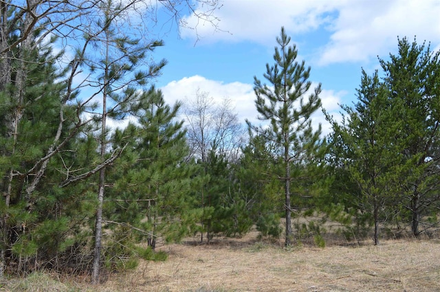 OFF Wood Rd NE, Kalkaska MI, 49646 land for sale