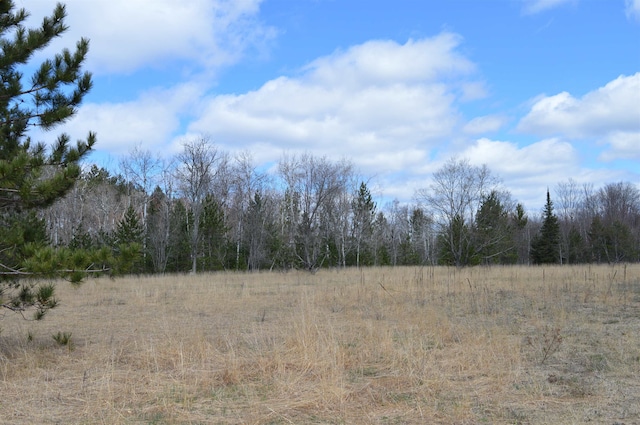 Listing photo 3 for OFF Wood Rd NE, Kalkaska MI 49646