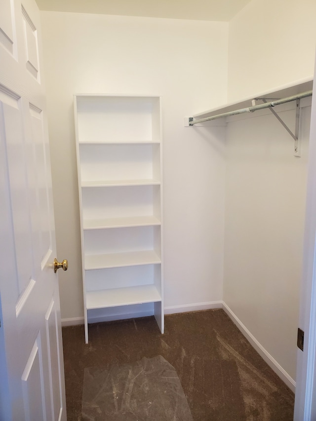 walk in closet featuring dark colored carpet