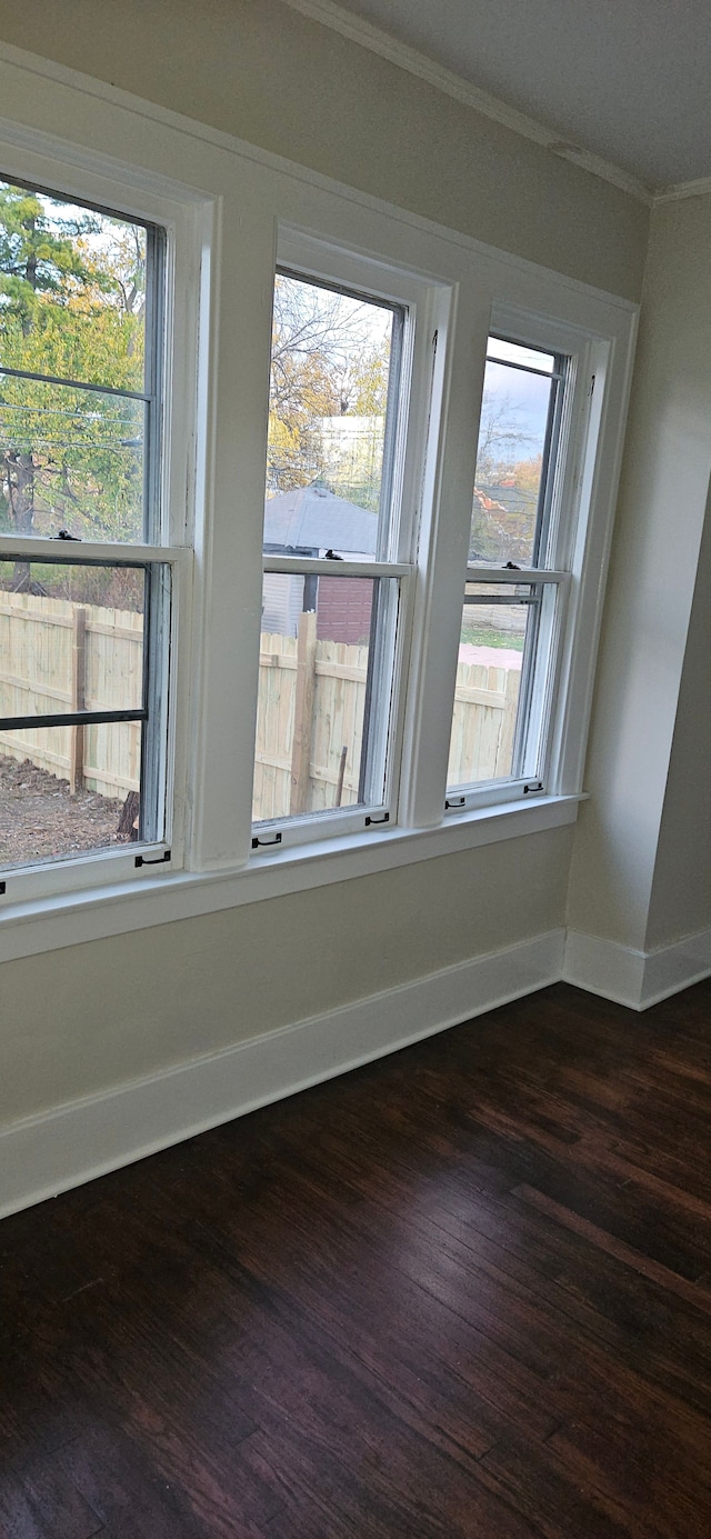 unfurnished room with dark hardwood / wood-style flooring and a wealth of natural light