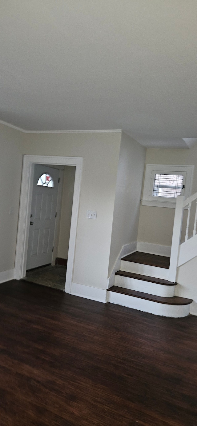 entryway with dark wood-type flooring