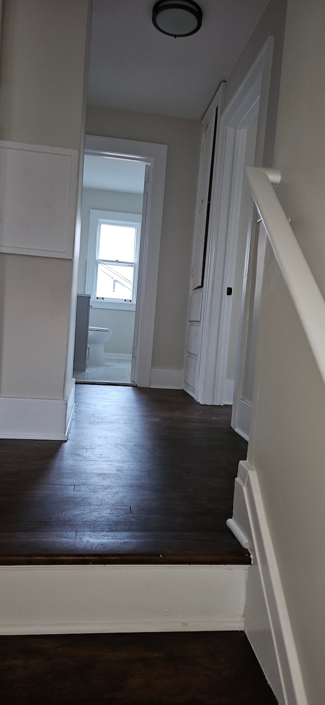 hallway featuring dark wood-type flooring