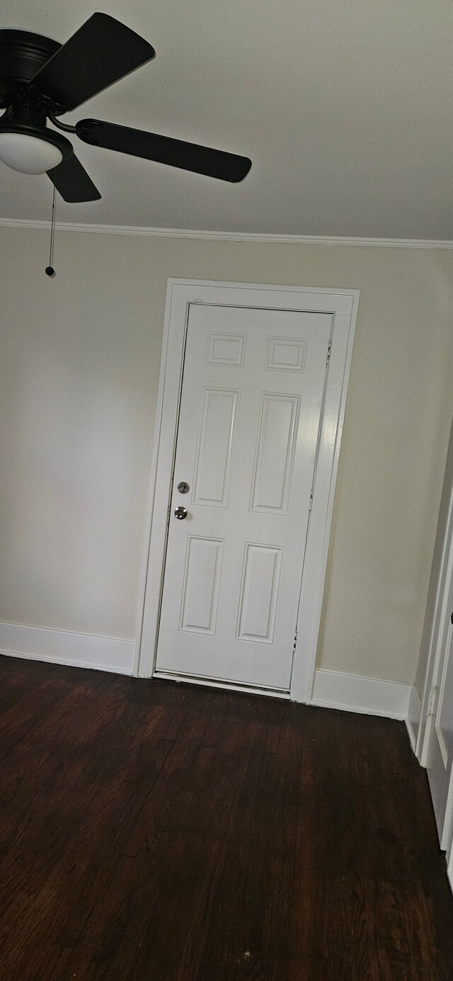 entryway featuring ceiling fan, ornamental molding, and dark wood-type flooring