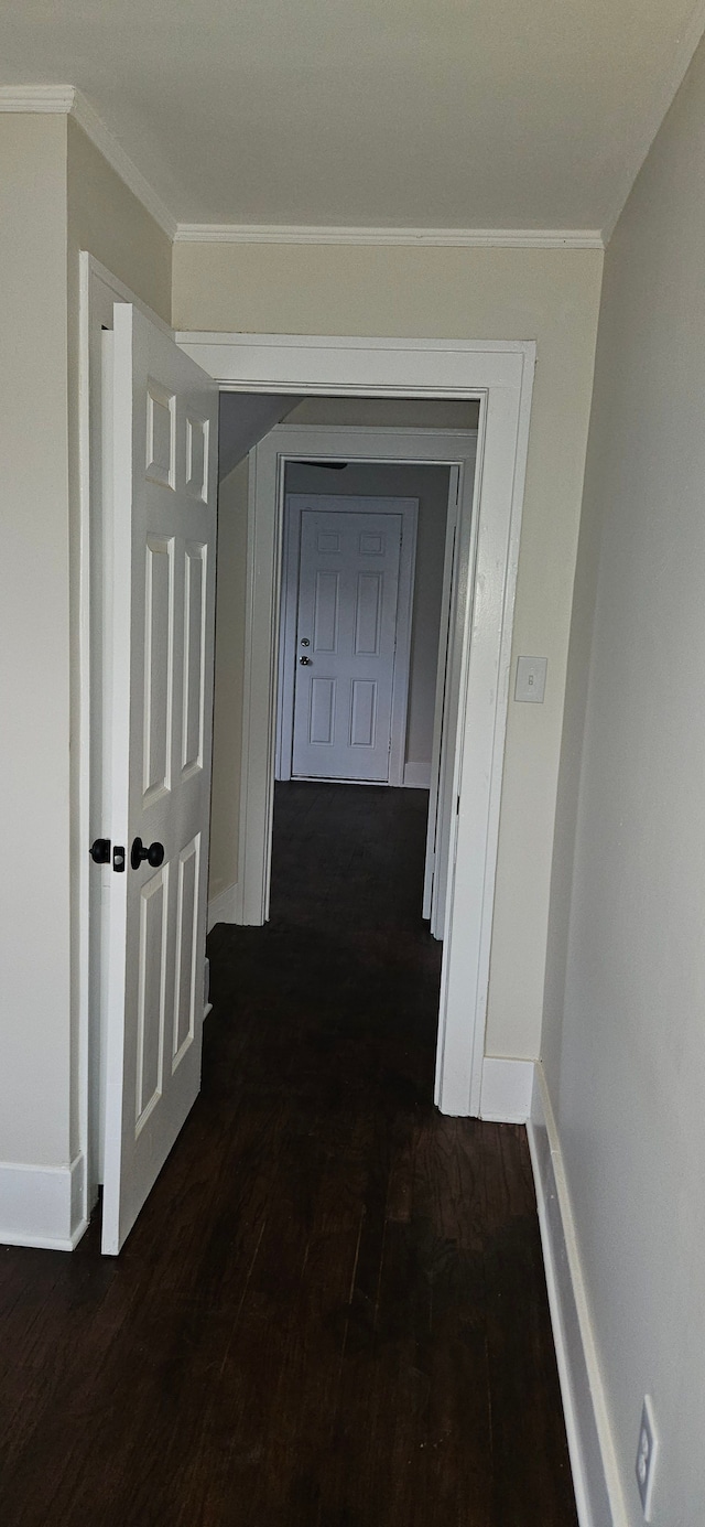 hallway featuring ornamental molding and dark wood-type flooring