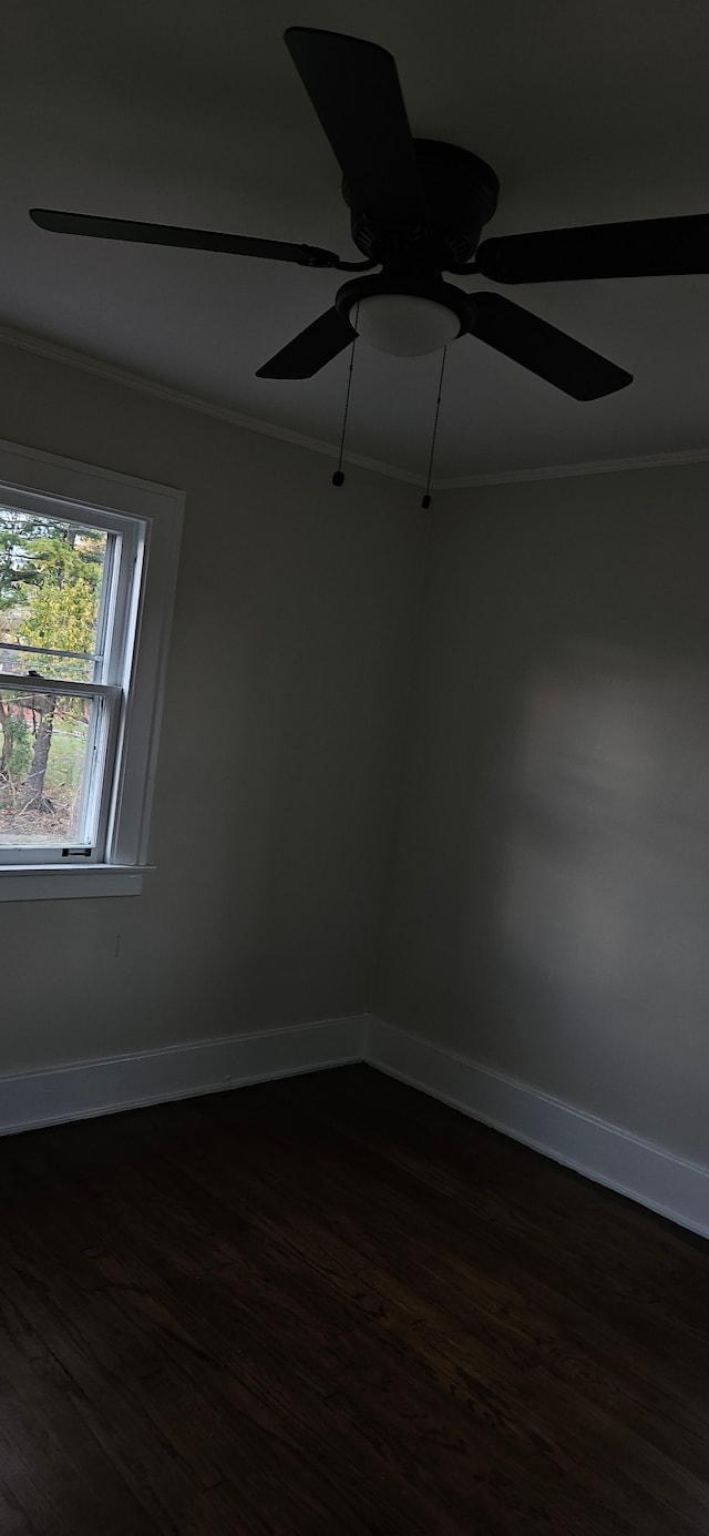 spare room with ornamental molding, ceiling fan, and dark wood-type flooring