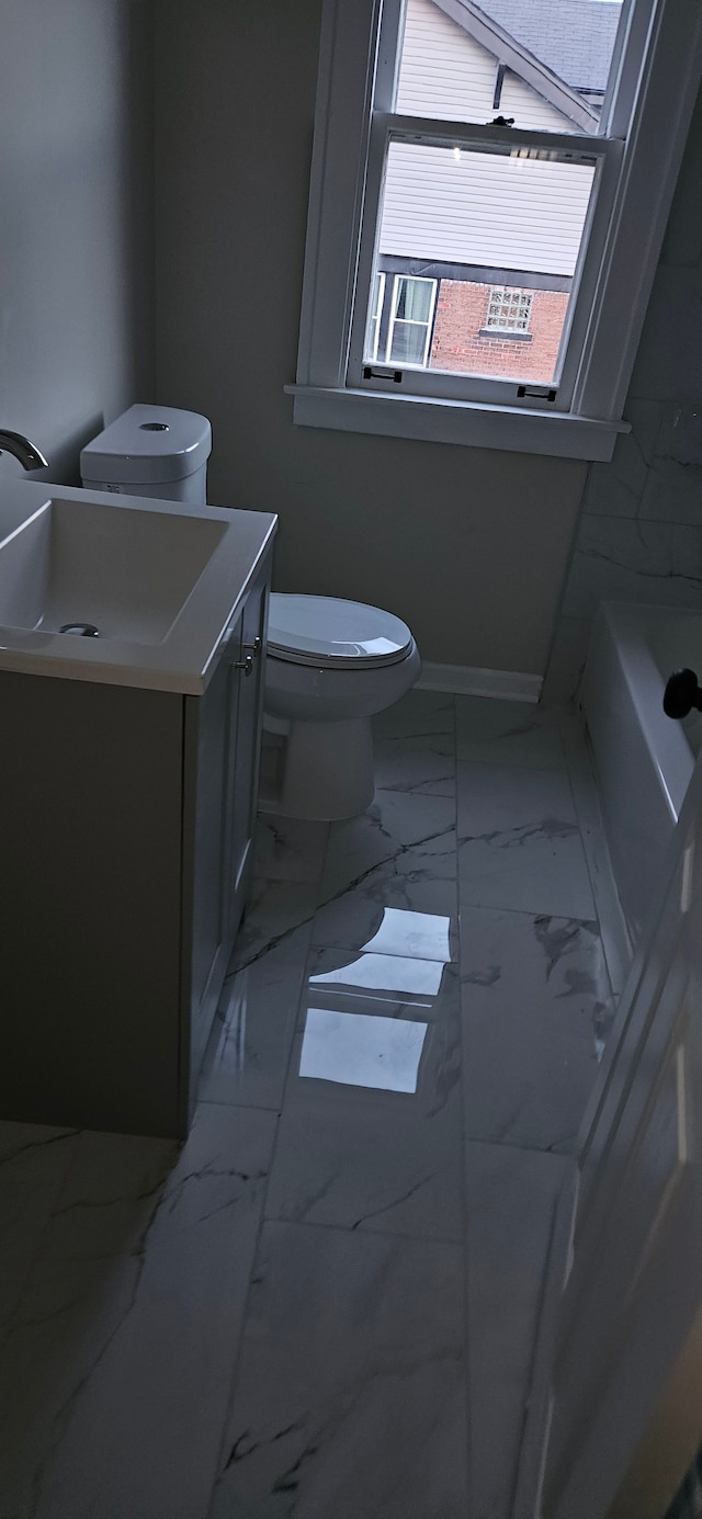 bathroom with a bathing tub, vanity, and toilet