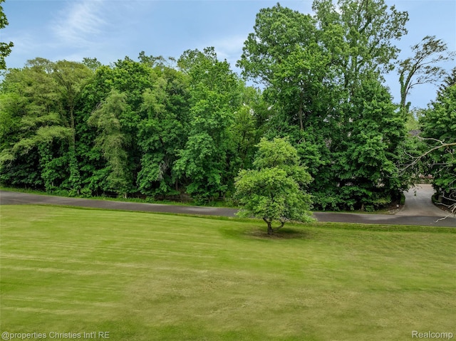 26335 Woodlore Rd, Franklin, MI 48025 - view of grassy yard