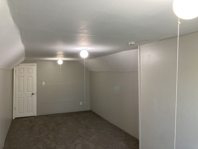 interior space with carpet floors