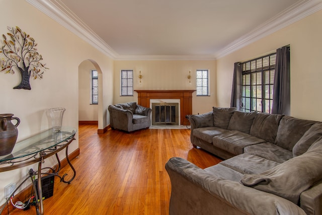 living room with hardwood / wood-style flooring and crown molding