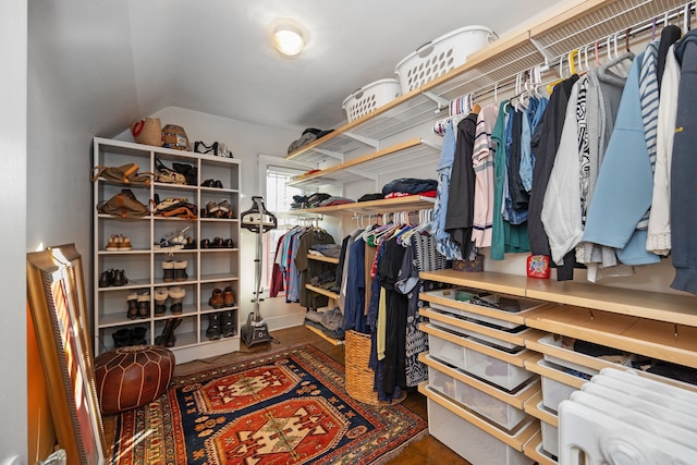 walk in closet with dark hardwood / wood-style flooring and lofted ceiling