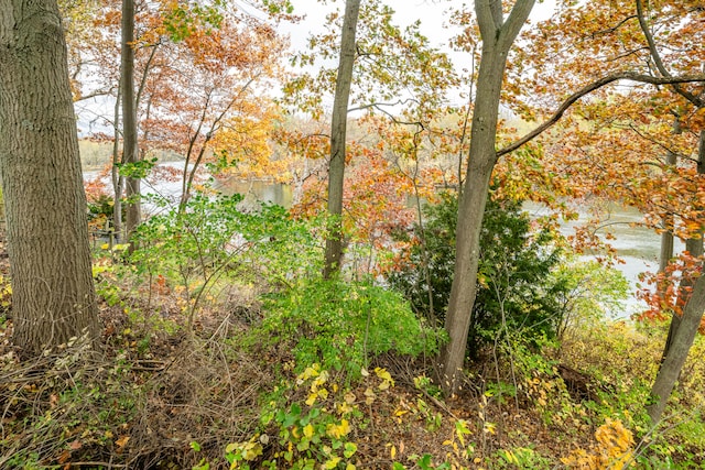 view of nature featuring a water view