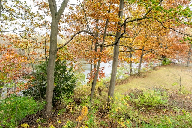 view of local wilderness featuring a water view