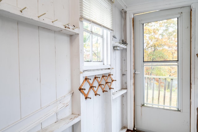 entryway featuring plenty of natural light