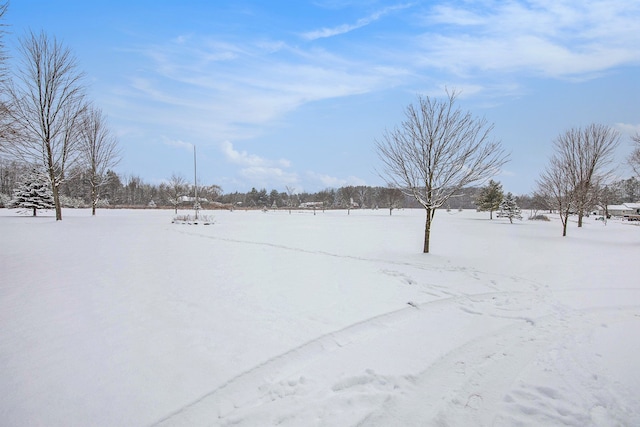 view of yard covered in snow