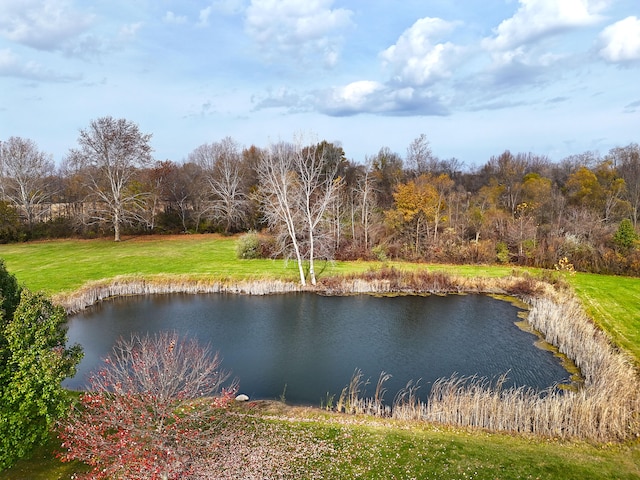 view of water feature