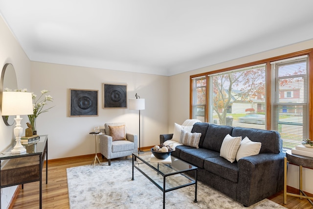 living room with hardwood / wood-style flooring