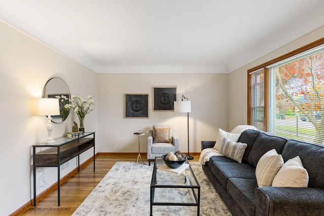 living room with hardwood / wood-style flooring