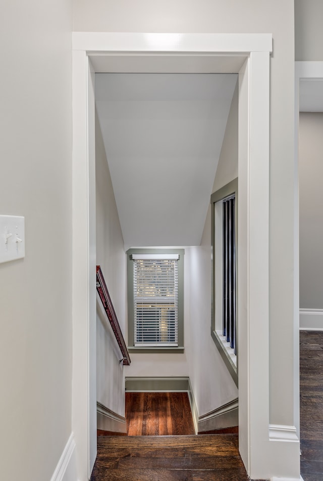 stairway featuring wood-type flooring and vaulted ceiling