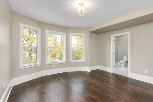 empty room featuring dark hardwood / wood-style floors